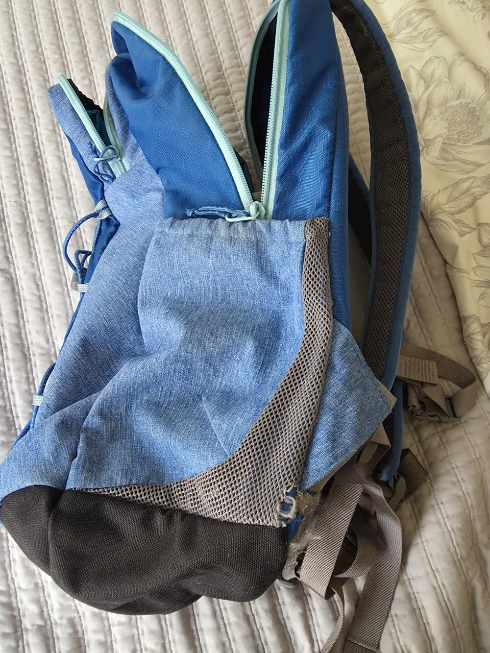 L.L. Bean bean blue